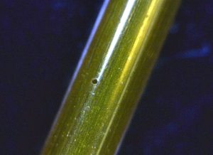 50 micron hole in Kapton tubing