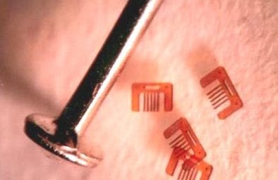 Kapton-Combs-by-head-of-pin-cropped-brightened