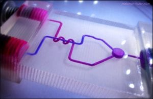 3D Printed Microfluidic Device
